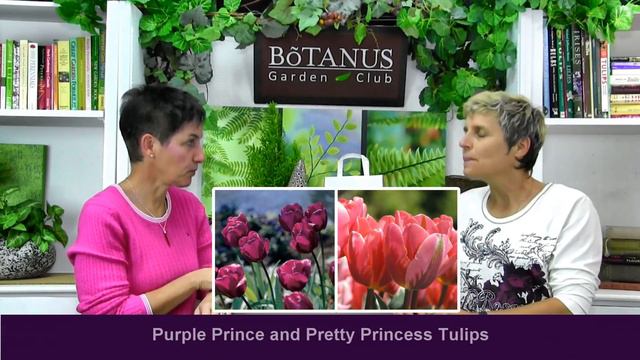 Episode 170-Carson's Spring Spectacular Collection смотреть онлайн