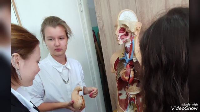 #школа #урок Один день из жизни учителя смотреть онлайн