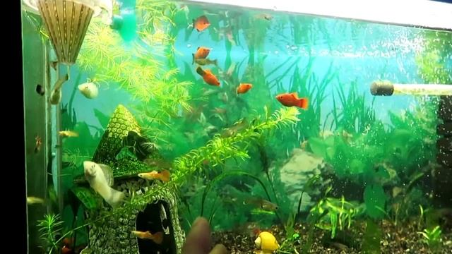 Water World #70 / Вот мы и дома! смотреть онлайн