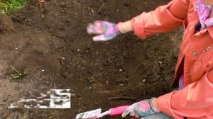 Как посадить виноград ПРАВИЛЬНО. Посадка саженцев черенков винограда, как сажать виноград весной.