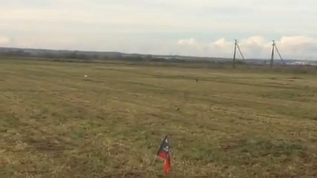 Курсинг басенджи смотреть онлайн