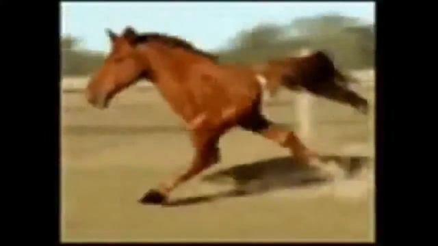 Они нашли друг друга) по шагу смотреть онлайн
