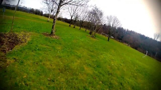 Ninja Branch! смотреть онлайн