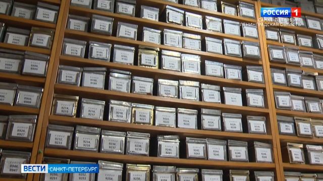 Петербургские учёные создают сорта бобовых с повышенным содержанием питательных веществ смотреть онлайн