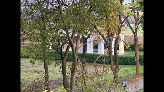 G  Montanari   Осень и Саксофон  Красивая  музыка для души Андрей Обидин#autumn#saxophone#beautifu