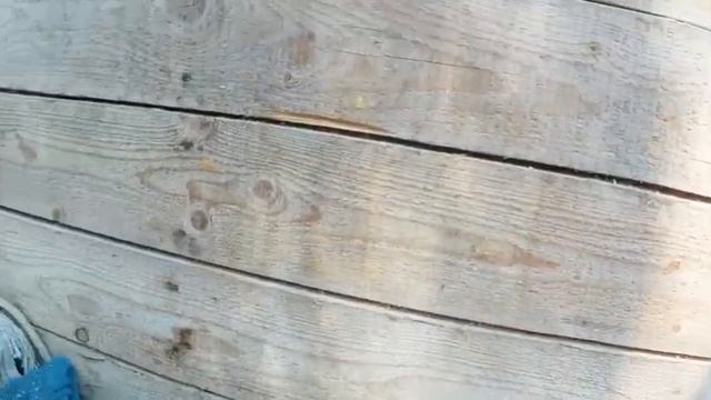 Утепление стен опилками, Какие ошибки и недочёты проявились спустя 3 года? смотреть онлайн