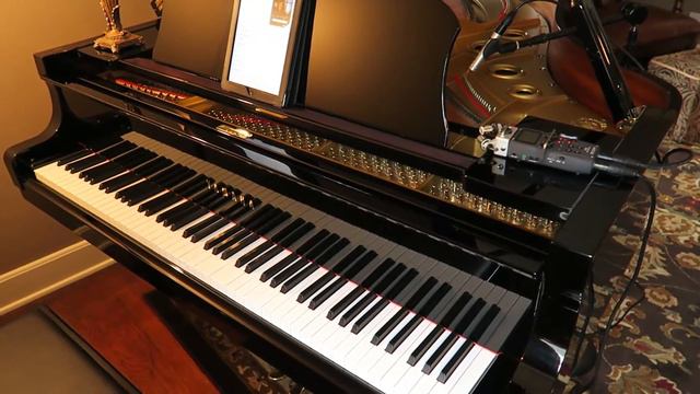 I Ain't Got Nobody - Yamaha G3 with PianoDisc смотреть онлайн