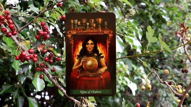 13th – 19th September green witch wisdom смотреть онлайн