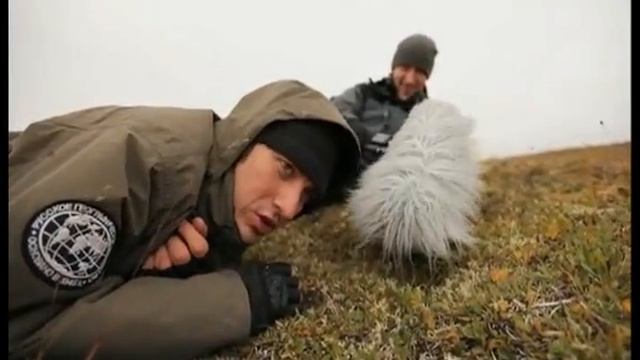 Моя планета.avi смотреть онлайн