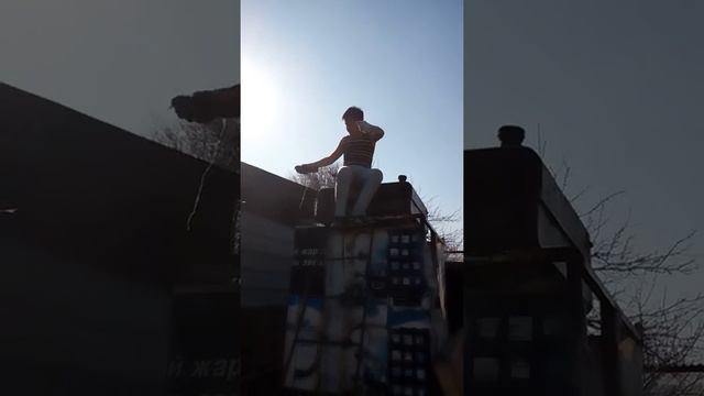 Учим голубей летать смотреть онлайн