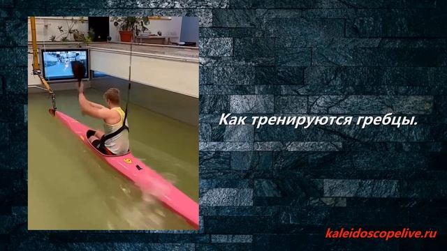 Как тренируются гребцы. смотреть онлайн