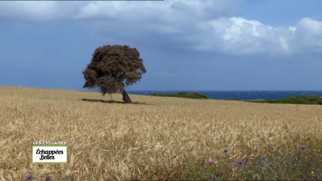 Les Cyclades, l'Eden grec - Echappées belles смотреть онлайн