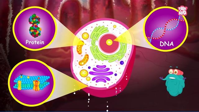 What Are Tardigrades? | The Strongest Creature Ever | The Dr Binocs Show | Peekaboo Kidz смотреть онлайн