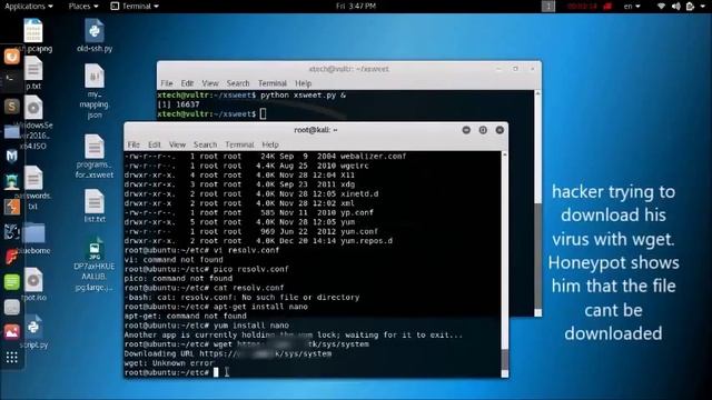 Xsweet Honeypot with ELK Demo смотреть онлайн
