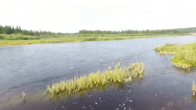 На понтонной переправе через р. Малая Ботуобия открыто движение для всех видов транспорта смотреть онлайн