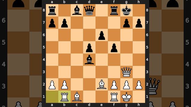 Peter Potemkin-K. Piltz, Paris 1924, Result: 0-1