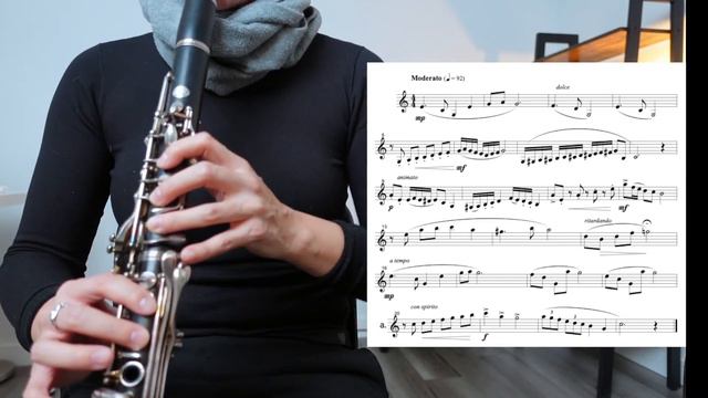 Clarinet Audition Etude from AuditionSolos.com | No metronome смотреть онлайн