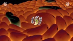 Samsung Logo Balls Effects ln G Major 74 & Does Not Respond