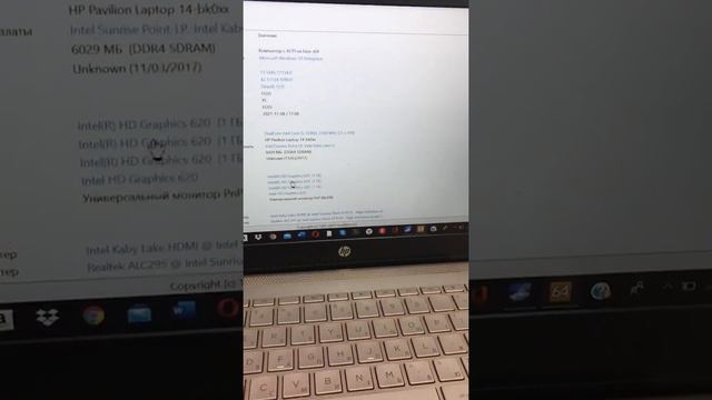 Hp розовый смотреть онлайн
