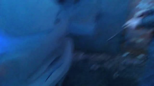 Багажник смотреть онлайн