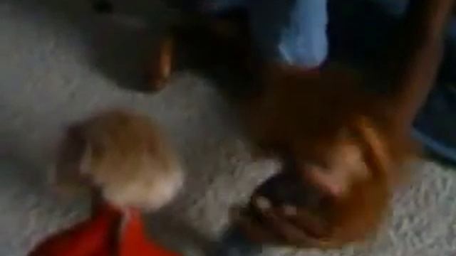 Sleep Over (Part 1) смотреть онлайн