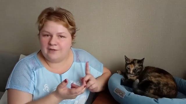 СОВЕСТЬ МУЧАЕТ/ЗАБЫЛА РАССКАЗАТЬ/ЗАКАЗАЛИ ТЕЛЕВИЗОР/СПРОШУ У МУЖА/ГОТОВИМ ЗАВТРАК/НОВЫЙ ШАМПУНЬ/ВЛО смотреть онлайн