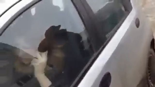 Девушка, которая не умеет сдавать задом смотреть онлайн