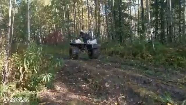 Каракат по лесу смотреть онлайн