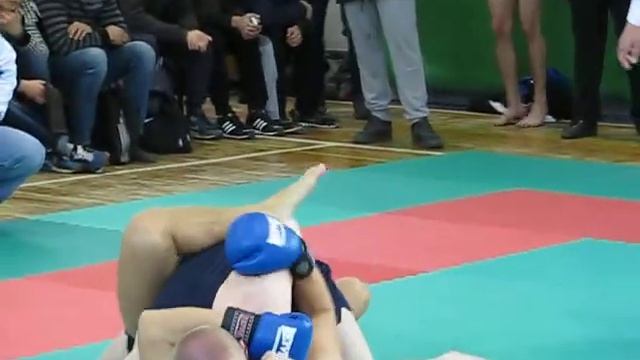 Кубок северного региона Украины по хортингу 2014 года. 04 октября, г. Ирпень, Киевская область смотреть онлайн