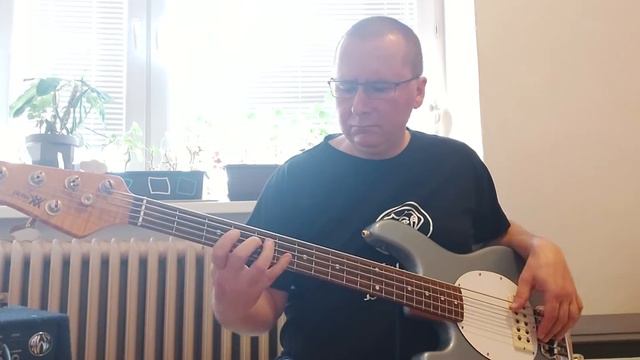 Chris Rea - On the beach (bass cover) смотреть онлайн