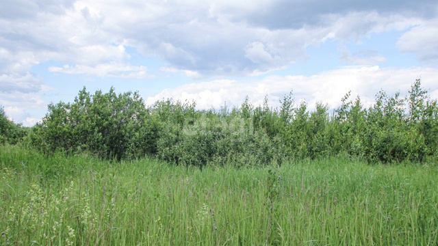 7952807 смотреть онлайн