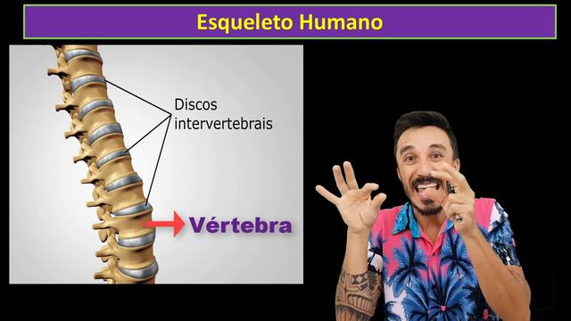 Vídeo Aula - Esqueleto