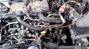 Промывка топливной системы Ford Focus 2 1.8 tdci