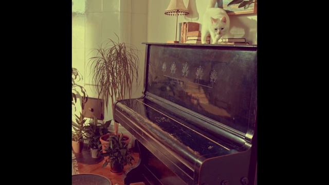 Усатый Бетховен / Mustachioed Beethoven / Белый Кот играет на Фортепиано смотреть онлайн