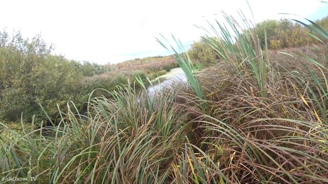 БАТЯ ВАЛИТ НАВСКИДКУ! УМЕЕТЕ ТАК? Я НЕТ! Охота на утку с подхода осенью. смотреть онлайн