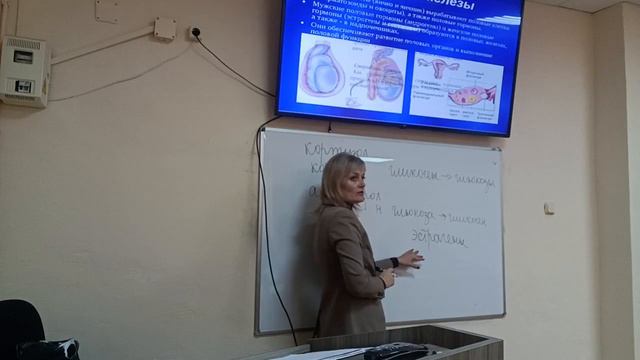 Эндокринная система. Кровь смотреть онлайн