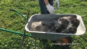 496 Посадка малины кустовым способом