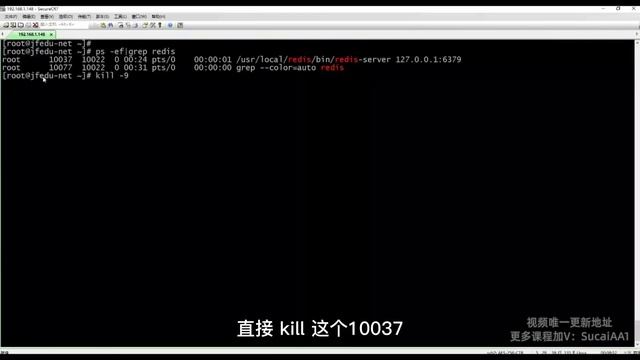 10 秒杀必备之Redis企业实战，99%的人都不会的技巧！ смотреть онлайн
