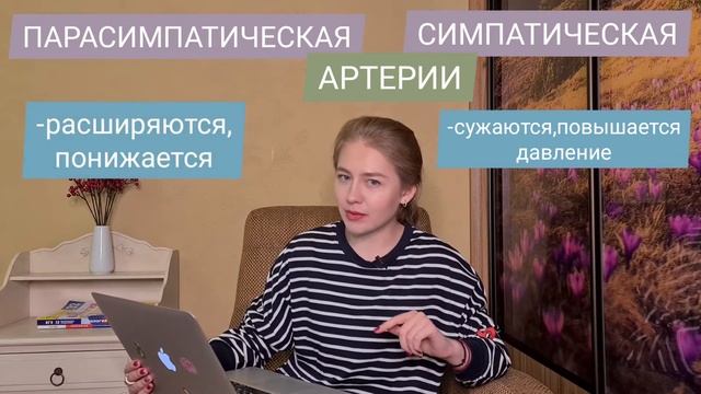 НЕРВНАЯ СИСТЕМА ЧЕЛОВЕКА ЗА 5 МИНУТ||СОМАТИЧЕСКАЯ/ВЕГЕТАТИВНАЯ/СИМПАТИЧЕСКАЯ/ПАРАСИМПАТИЧЕСКАЯ смотреть онлайн