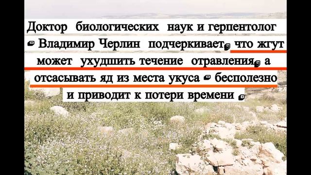 УКУС ЗМЕИ. Первая помощь при укусе змеи смотреть онлайн