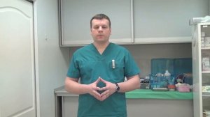 Что делать, если у питомца началась диарея