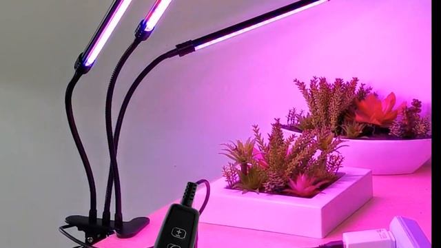 Можно ли использовать лампы накаливания для рассады? Как правильно выбрать фитолампу смотреть онлайн