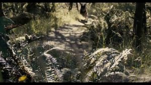 Симон Хорольский – Hallelujah (христианская песня)