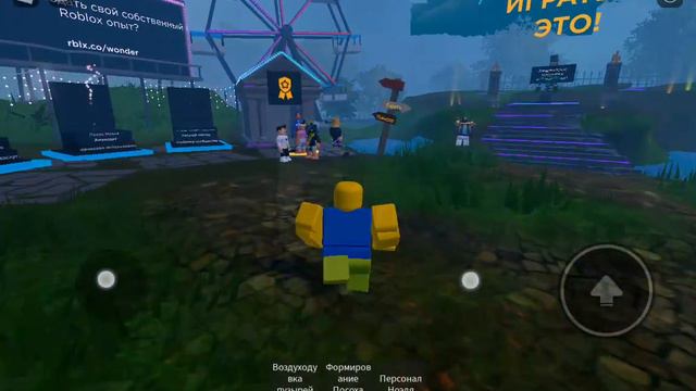 Кошачьи истории о приключениях 