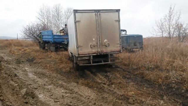 Как собирают яблоки,как растут?КФХ,наш яблоневый сад. смотреть онлайн