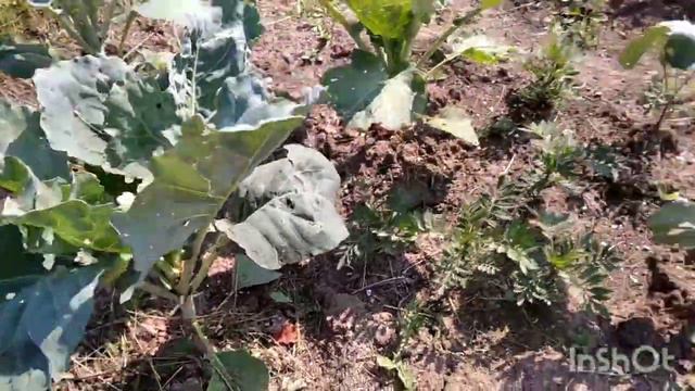 Будни на Урале. В гостях хорошо, а дома лучше ☺ смотреть онлайн