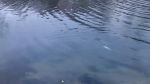 11 02 2013 первая форель смотреть онлайн