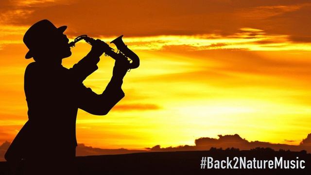 Saxophone House 2020 Original - Lounge Bar Music - Habana Sunset - Back 2 Nature Music смотреть онлайн