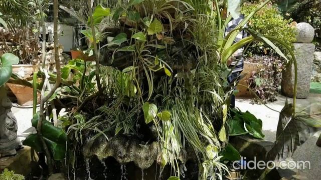 Хорошо бы сочинить себе жизнь Галина Гампель Стихи Лины Городетски музыка Хирш Зилбер. смотреть онлайн