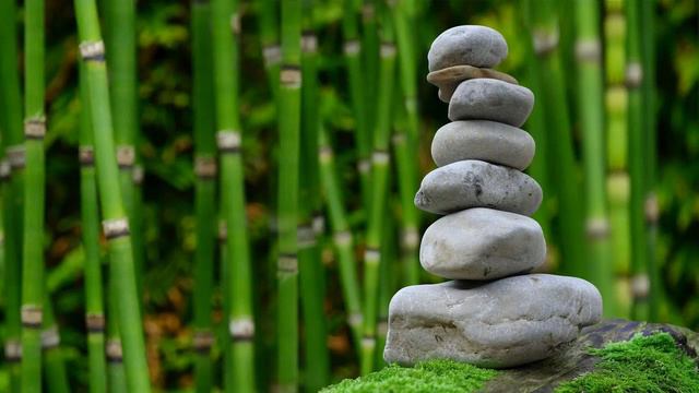 CABU Relax Music | Nhạc cổ điển không lời смотреть онлайн